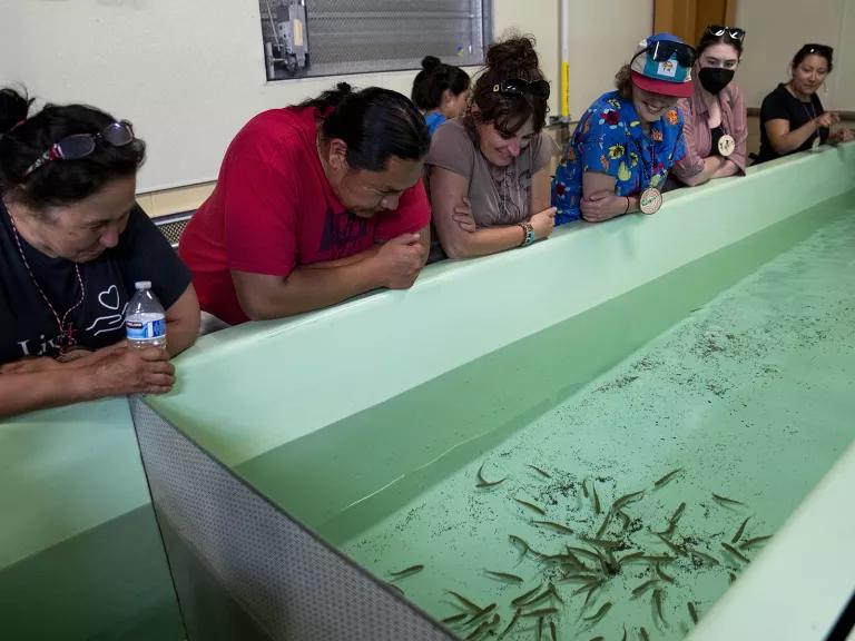 A group of people looking into a tank of fish