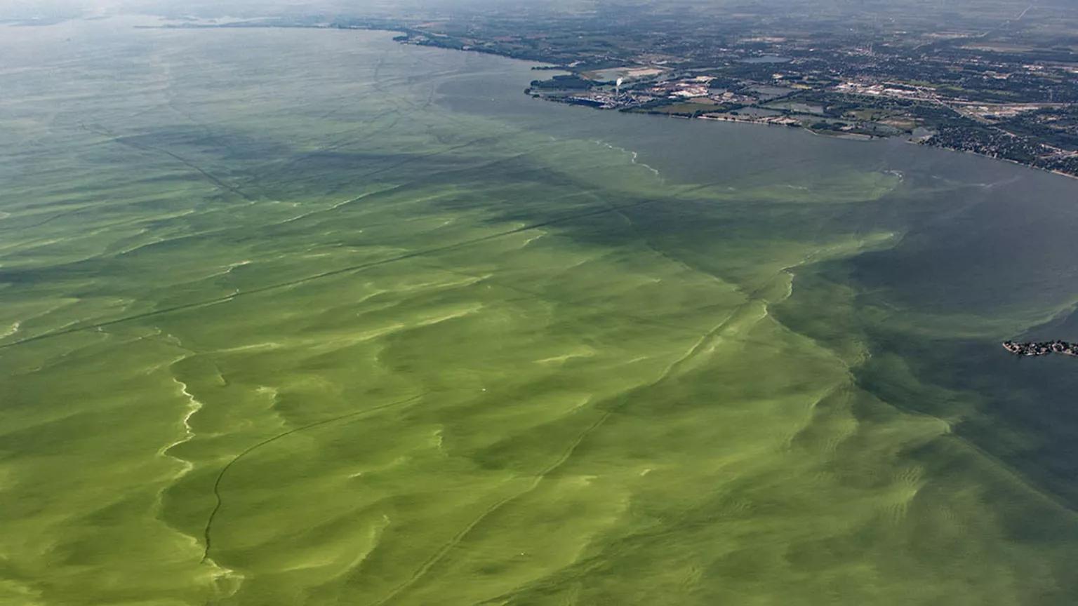 An aerial view of deep green waters approaching the shoreline near a city
