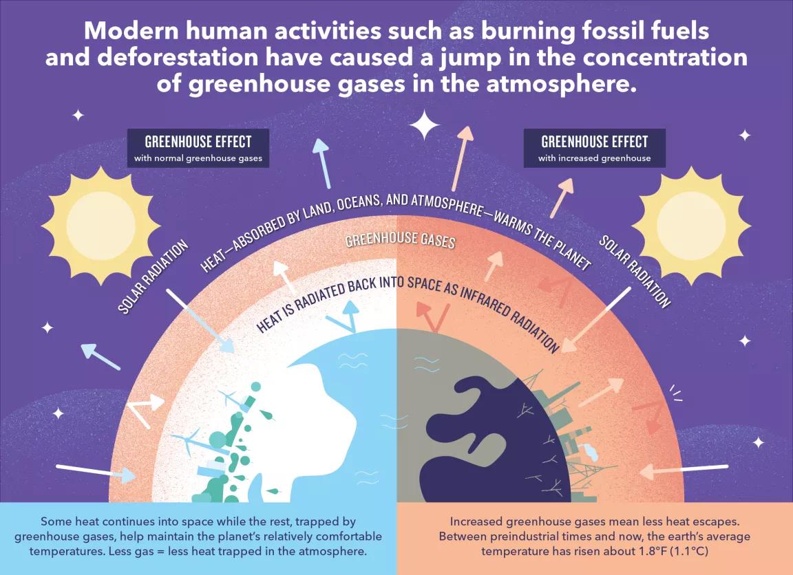 A graphic explains the greenhouse effect with normal and increased greenhouse gases. The title reads "Modern human activities such as burning fossil fuels and deforestation have causes a jump in the concentration of greenhouse gases in the atmosphere."