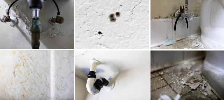 Multiple images show mold growing on walls and around leaky pipes