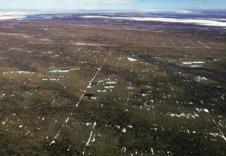 An aerial view of an expanse of flat green land with narrow lines of white snow criss-crossing the area in a grid pattern