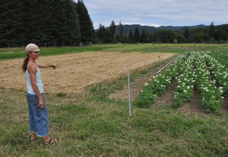 A woman points to a small plot of a green crop next to another plot that is covered in hay