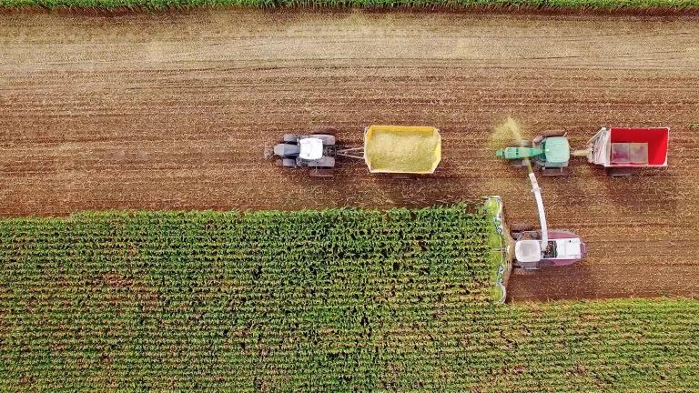 An aerial view of a crop being harvested