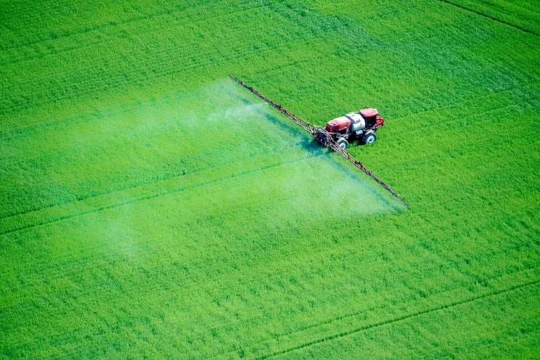 A truck sprays a wide swath of bright green crops with pesticide