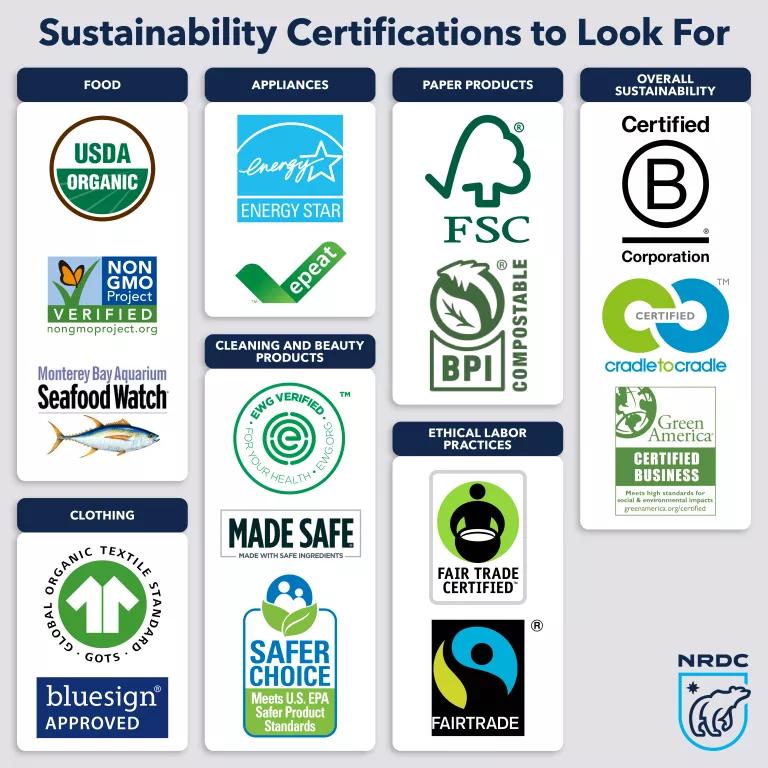An infographic title "Sustainability Certifications to Look For"
