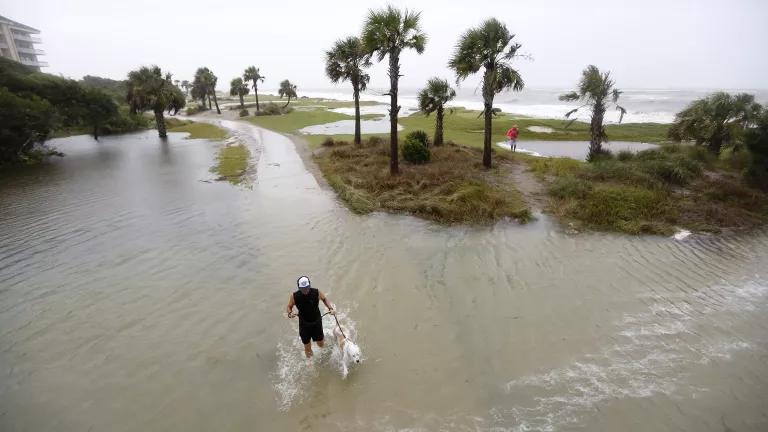 A man in black shorts and a shirt, wearing a white baseball cap, walking his dog through high tide flooding on the Isle of Palms, South Carolina