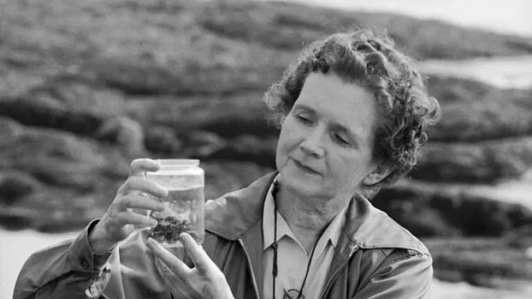 Rachel Carson sits near tide pools and holds a glass jar with a sample of water in it