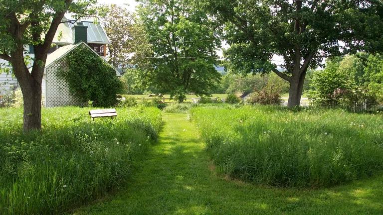 The land in front of a residential home is covered in tall grasses and trees, with a mowed pathway leading to the home