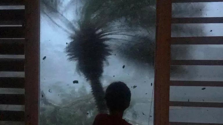A child looks out a window with a tree blowing in a storm outside