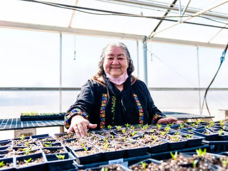 Helga Garza, Executive Director of Agri-Cultura Network, in a greenhouse at Sacred Roots Farm in Albuquerque
