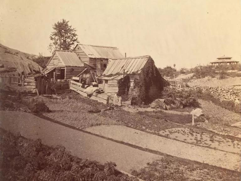 An 1862 image of a crumbling wooden house, which was once part of Seneca Village in New York City