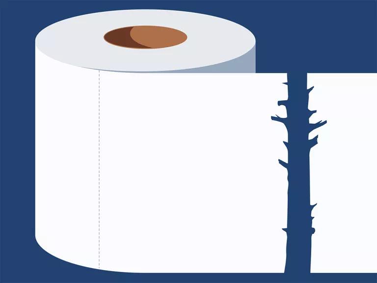 Image of toilet paper roll with tear that looks like a tree branch