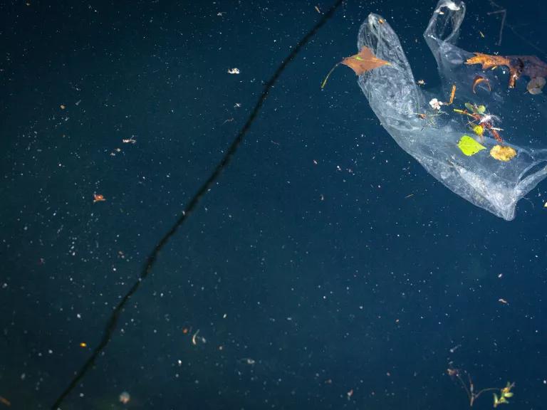 A plastic bag floats in the deep blue underwater.
