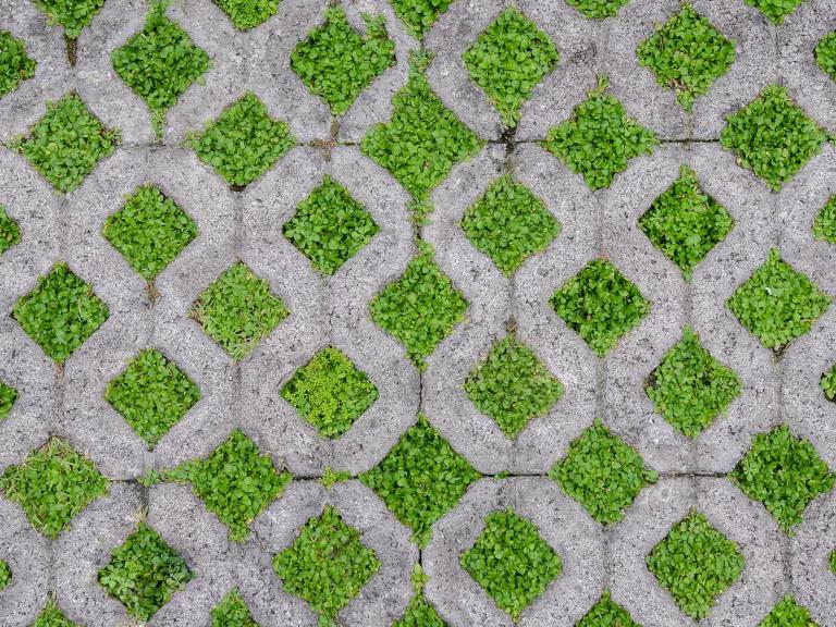 A close-up view of square paving stones with regular diamond-shaped cutouts where grass grows