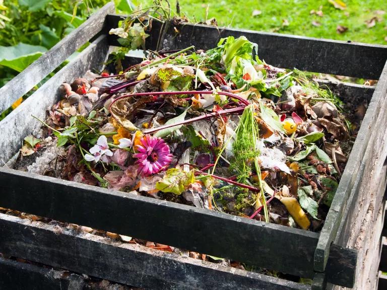 Vegetable and plant scraps in a square wooden bin