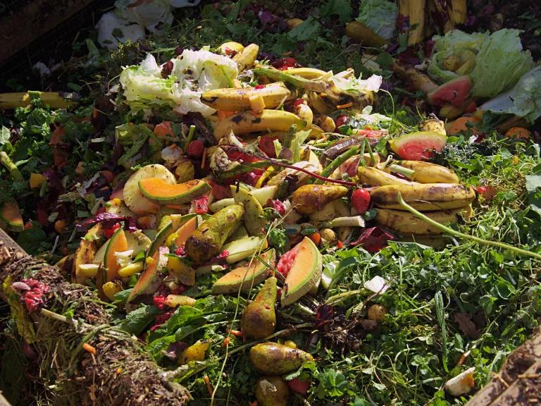 A pile of food scraps and cut fruit