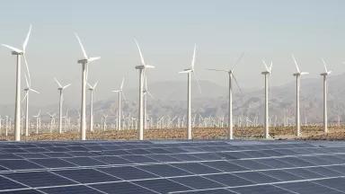 Rows of wind turbines stand in the background behind an array of solar panels