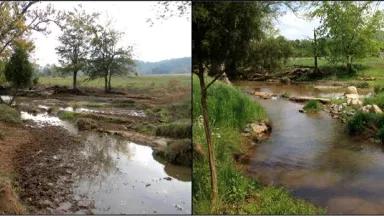 Side-by-side images showing a small creek situated next to grassland