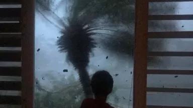 A child looks out a window with a tree blowing in a storm outside