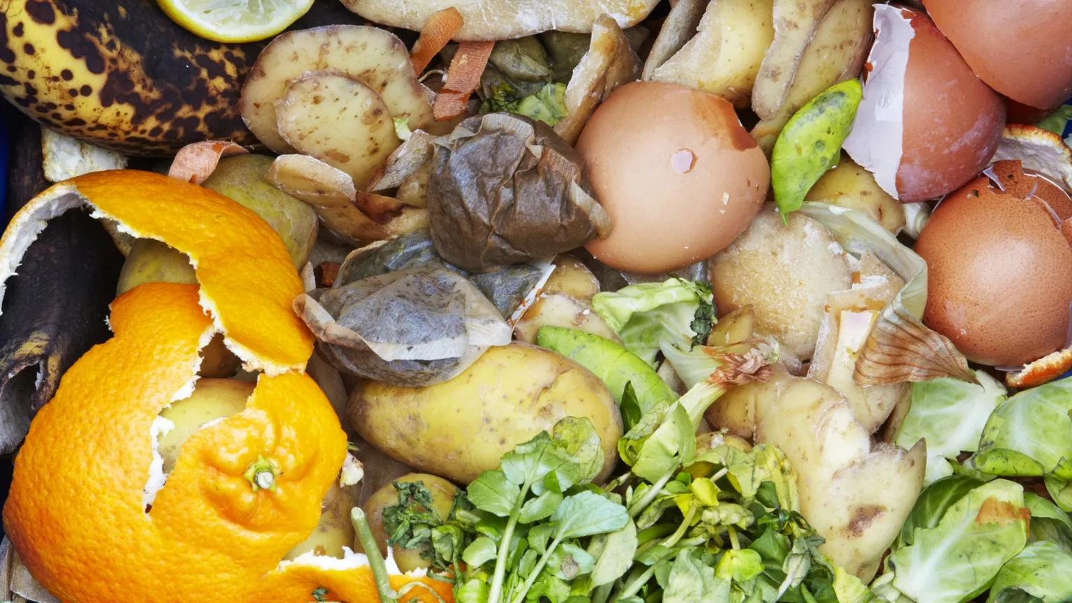 Composting helps the Earth and your garden: What you need to know