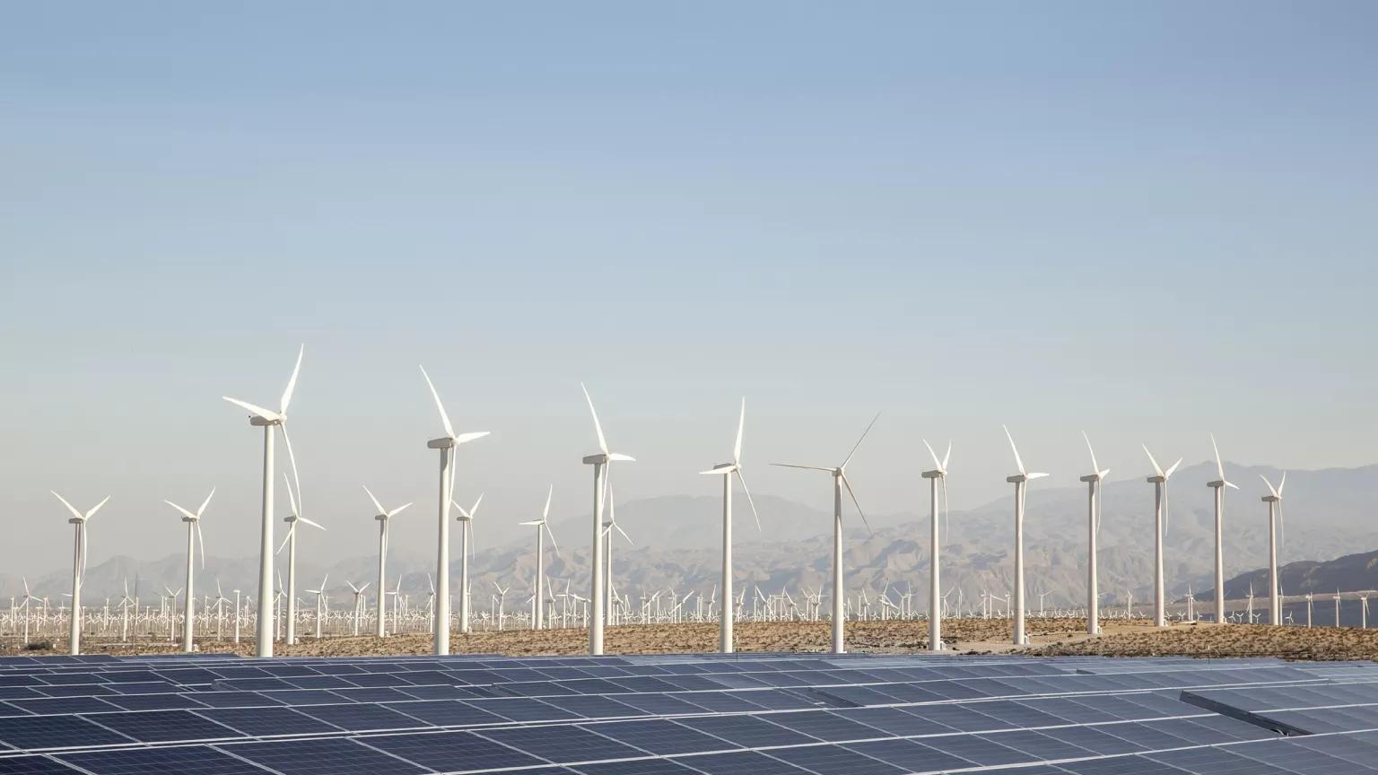 Dozens of wind turbines stand in rows behind a solar panel array with mountains in the distance