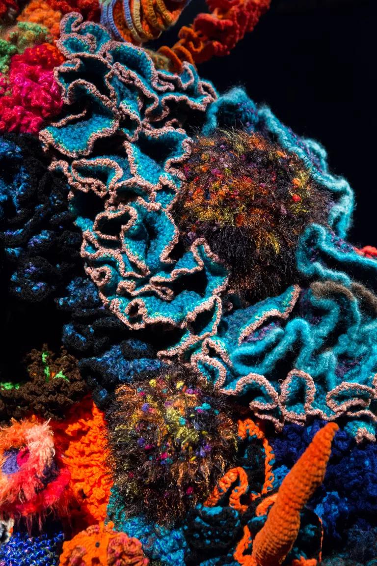 What Do Corals and Crochet Have in Common? More Than You Think.