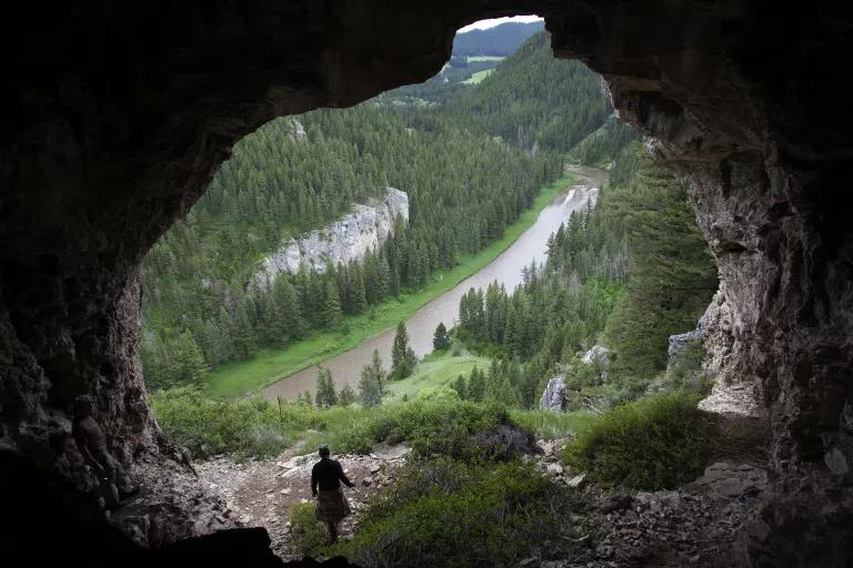 A view from inside a cave of a forested mountain landscape