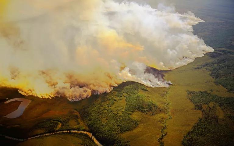 An aerial view of a line of wildfire moving through a forested area
