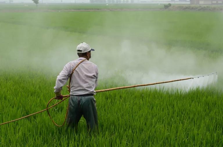 worker applying pesticide