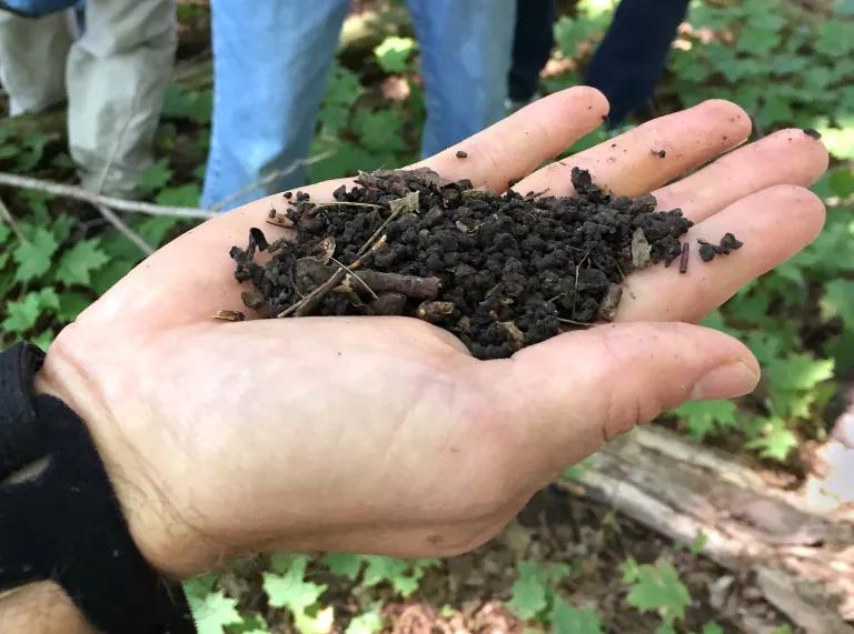 A person's hand holding chunky brown soil