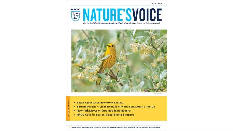 Cover image of the Nature's Voice Spring 2024 publication