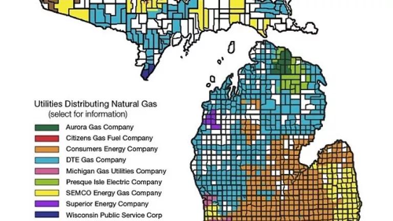 Michigan Gas Utility Service Area Map