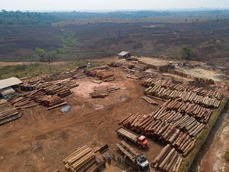 Logs stacked at a lumber mill surrounded by recently charred and deforested fields near Porto Velho, Brazil