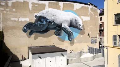 A mural on the side of a building shows a polar bear