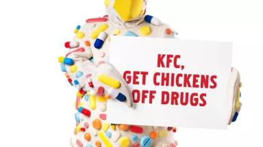 KFC Chickens Off Drugs