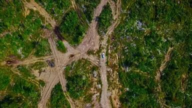 An aerial view muddy dirt roads slicing through a lush green forest