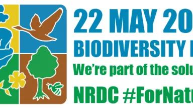 Biodiversity Day 2021 NRDC 