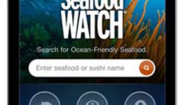 Thumbnail image for Thumbnail image for Seafood Watch.jpg
