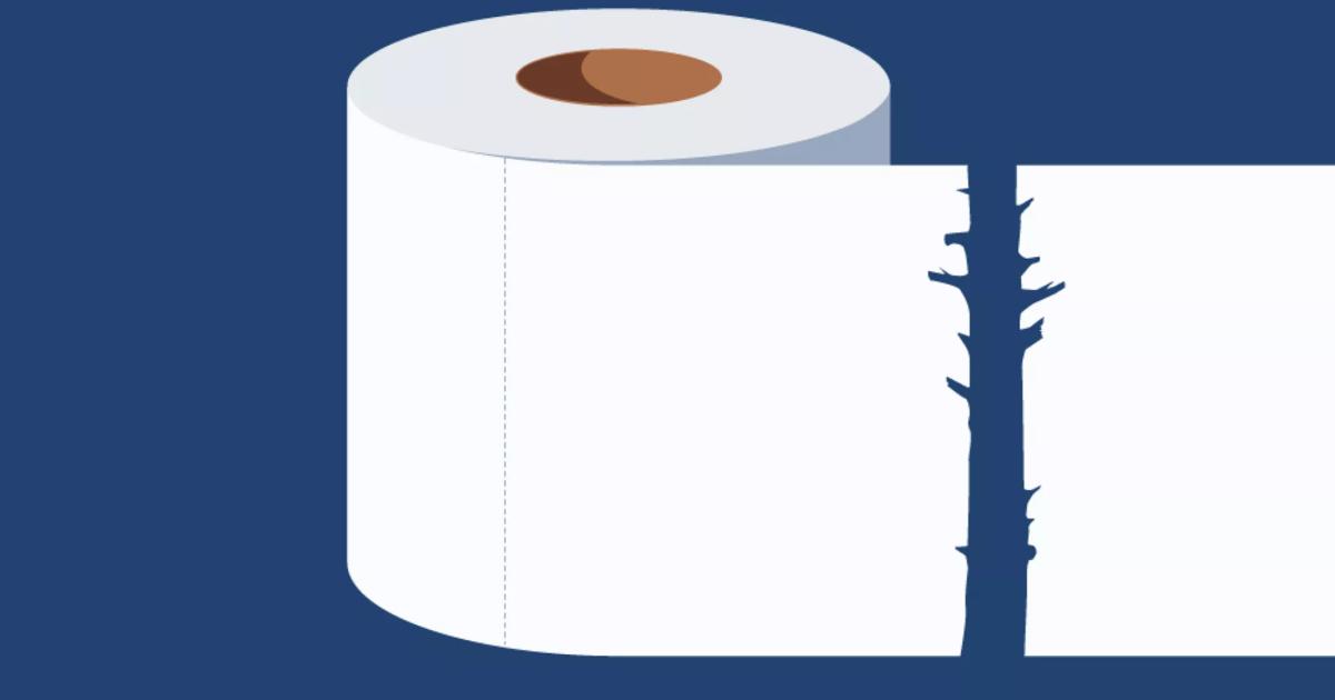 Lv Toilet Paper  Natural Resource Department