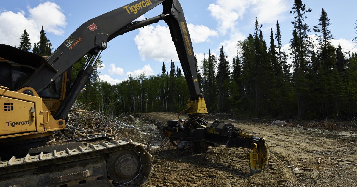 Why should The Home Depot protect the boreal forest?