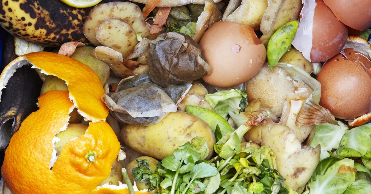 How to compost: Don't waste your waste, Fruits & Vegetables