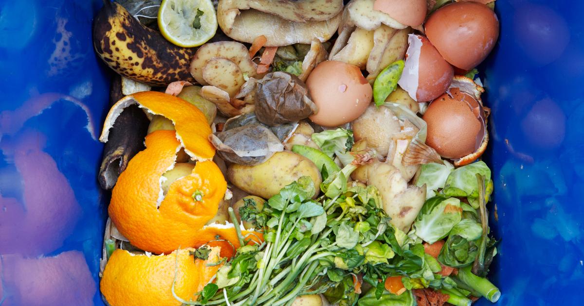 Composting Is Way Easier Than You Think