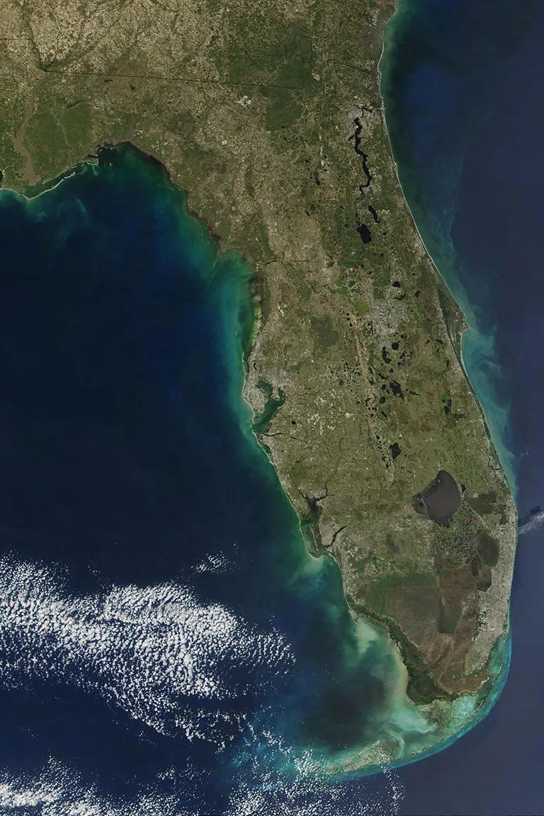 A satellite image showing Florida with bright green visible around most of the coastline
